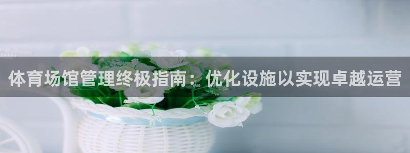 必一体育官方入口：体