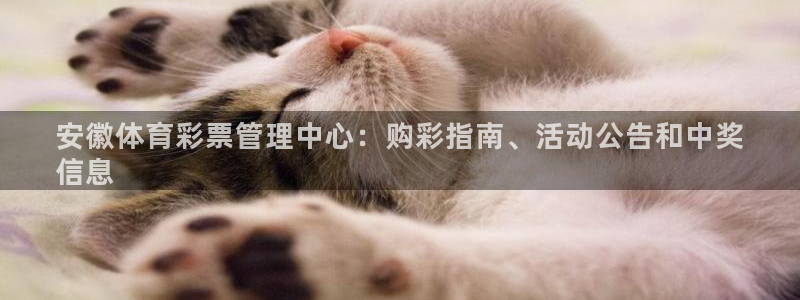 必一体育app下载装