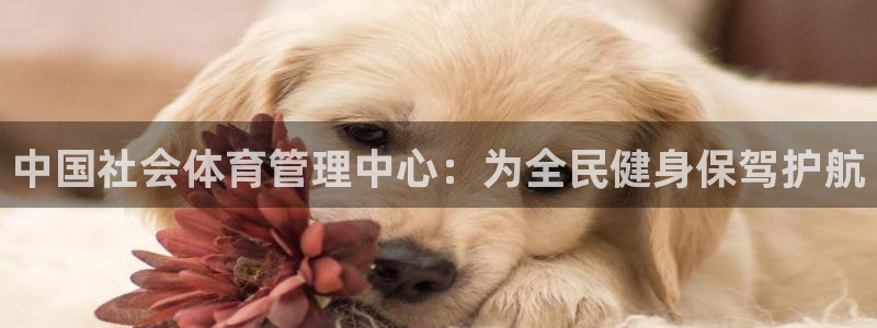 必一运动 b 体育素