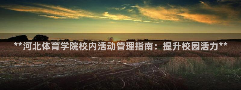 Bsport体育必一