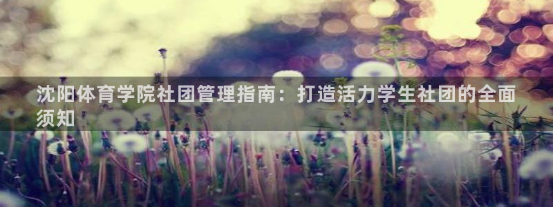 必一体育sport官