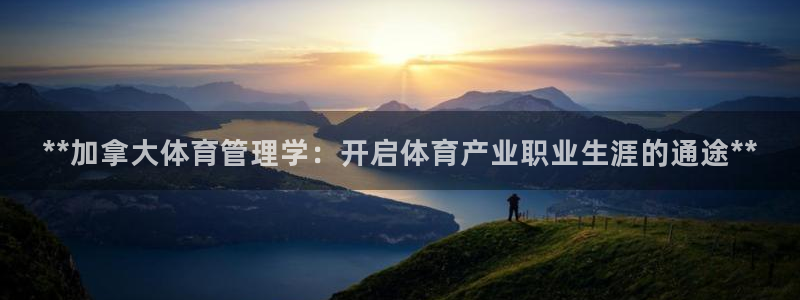 必一体育sport下