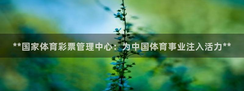 必一体育官方入口：*