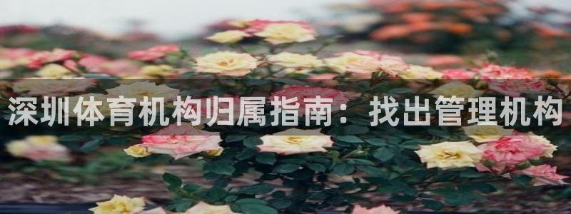必一体育app官方网