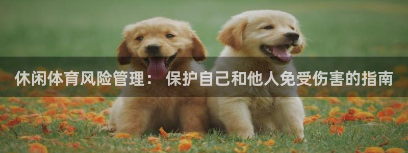 b体育官网下载入口a