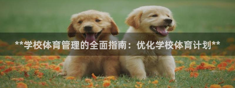 必一体育运动平台官网