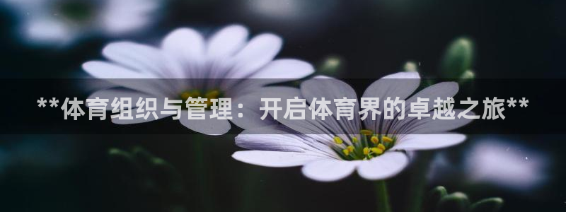 必一体育官方入口：*