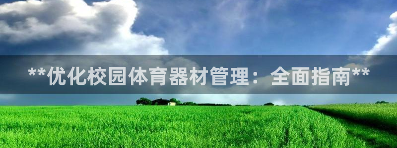 必一运动体：**优化