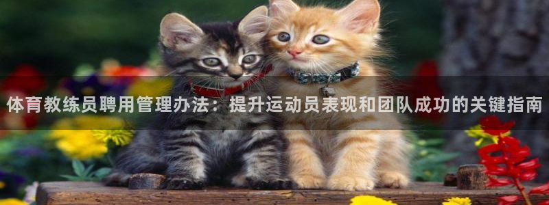 必一运动aop：体育