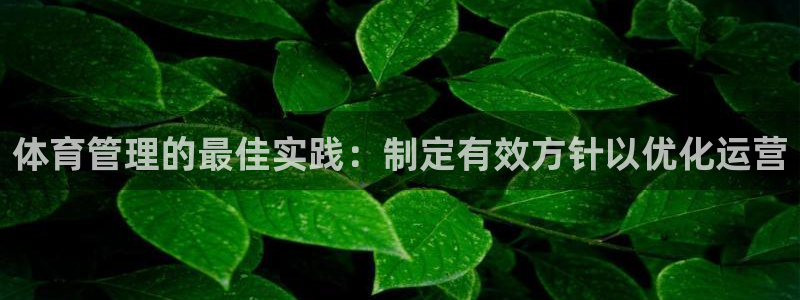 必一运动B-Spor