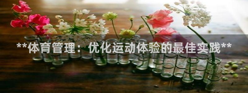 必一体育运动app：
