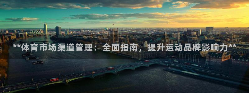 必一体育sport：