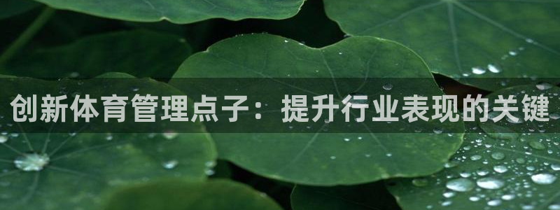 必一体育官方网站入口