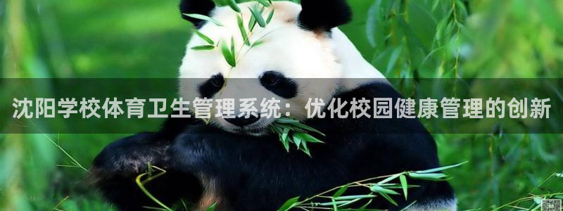 必一体育app平台下