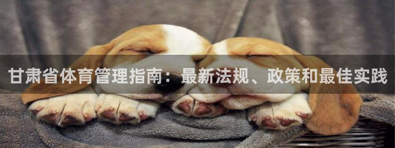 必一体育游戏玩法：甘