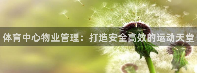 必一体育app下载装