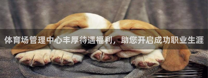 必一体育游戏特色：体
