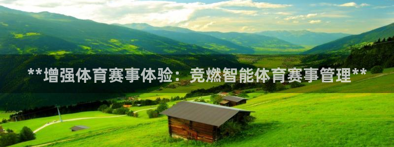 必一体育下载app：
