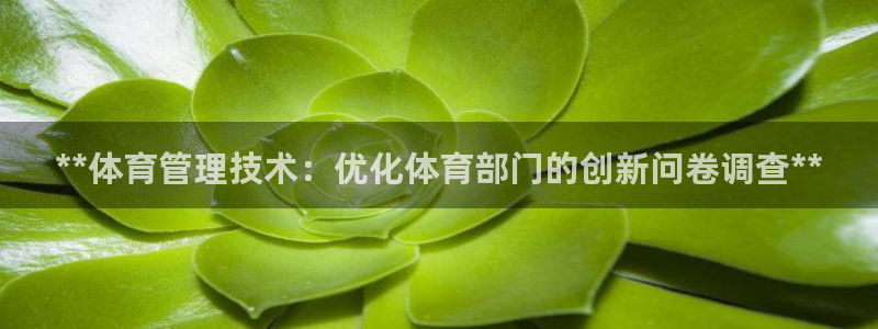 必一体育官方下载入口