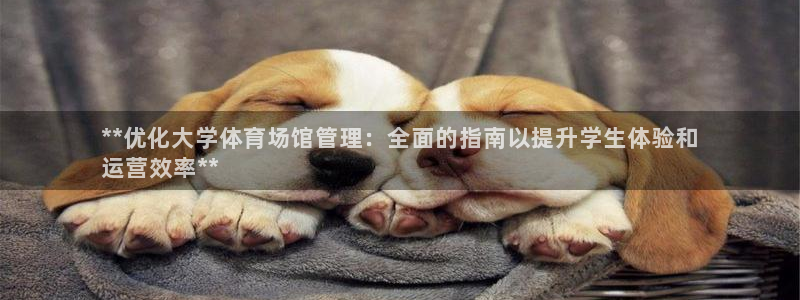 必一运动 b 体育素