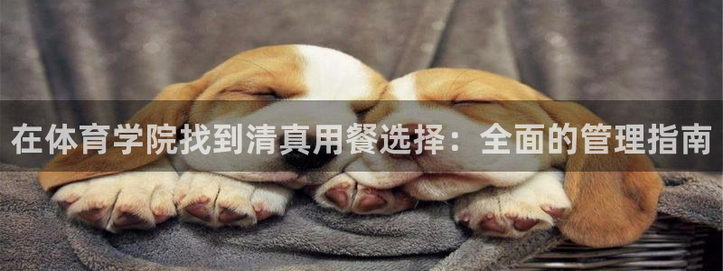 必一体育登录：在体育