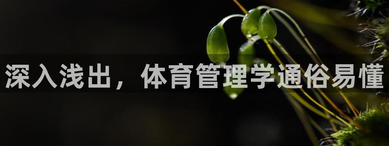 必一体育官方入口：深