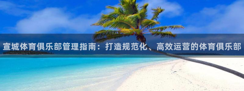必一体育运动app：