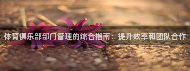 必一运动·(B-sp