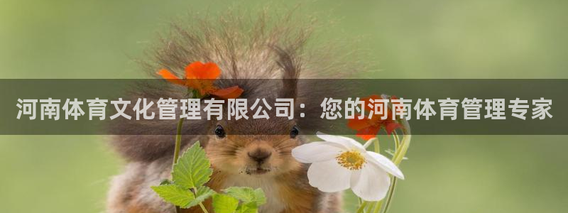 必一体育网页：河南体