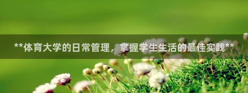 必一体育游戏玩法：*
