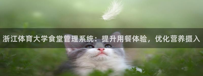 必一体育最新官网入口