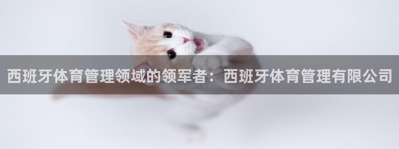 必一体育电子app：