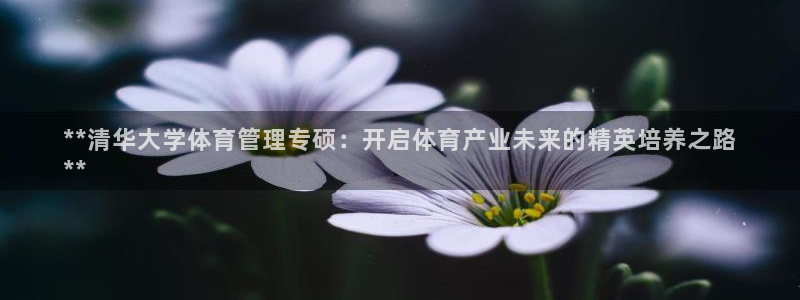 必一体育下载意思：*