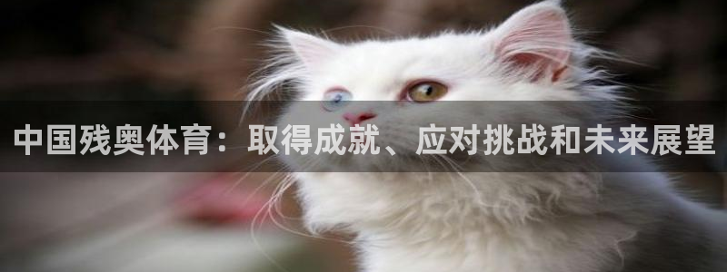必一体育app下载装