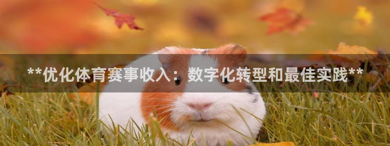 必一体育在线玩：**