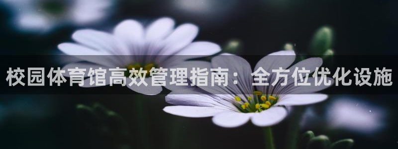 必一运动短信：校园体