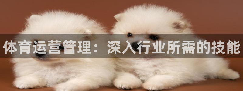 必一运动官网装机吧：