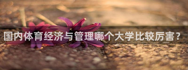 必一运动·(B-Sp