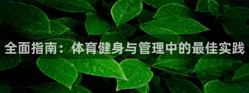 必一体育app官方下
