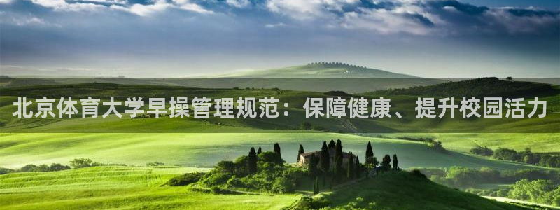 必一体育bsport