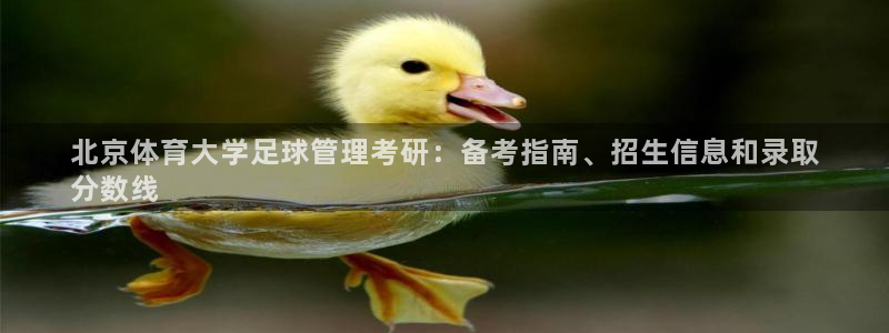 必一体育是哪里的台子