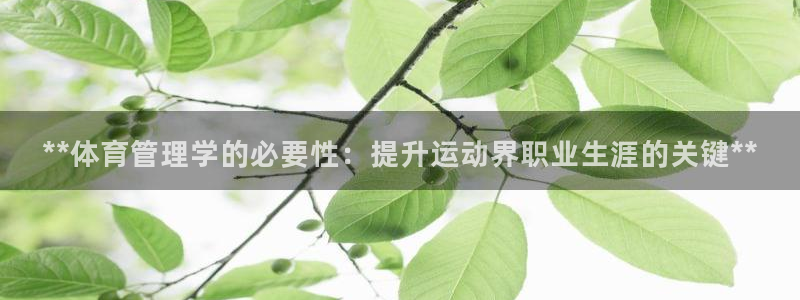 必一体育在哪下：**