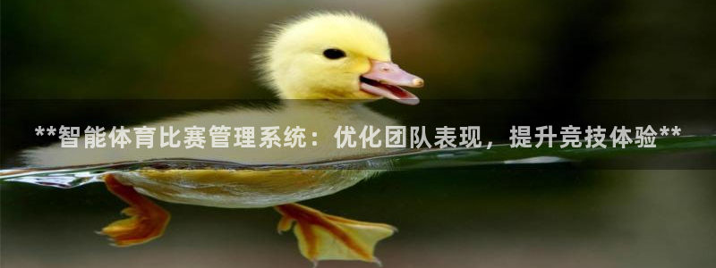 必一体育网页：**智
