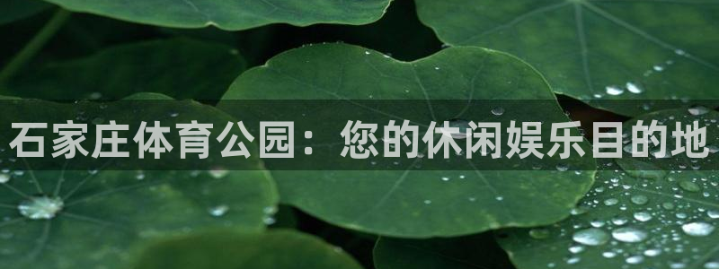 必一体育sport网