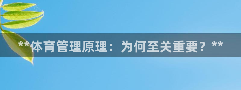 必一体育网站：**体