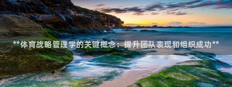 必一体育APP下载安