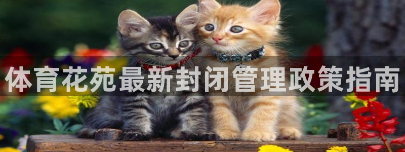 必一体育运动app下