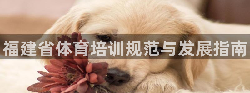 必一体育网页登录版官