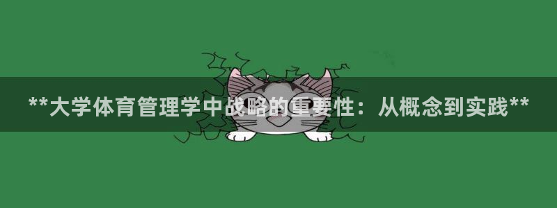 必一体育怎么下载：**大学体育管理学中战略的重要性：从概念到