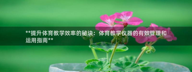 必一体育app平台下